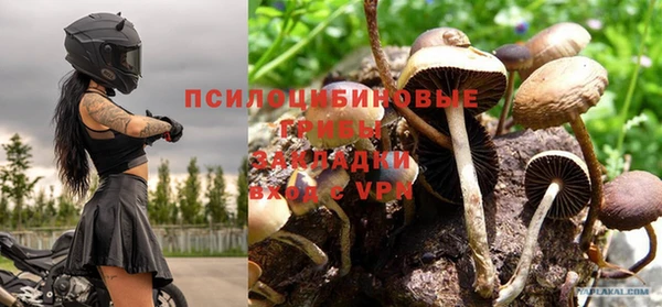 стаф Семёнов