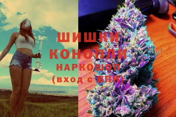 соль ск Алексин