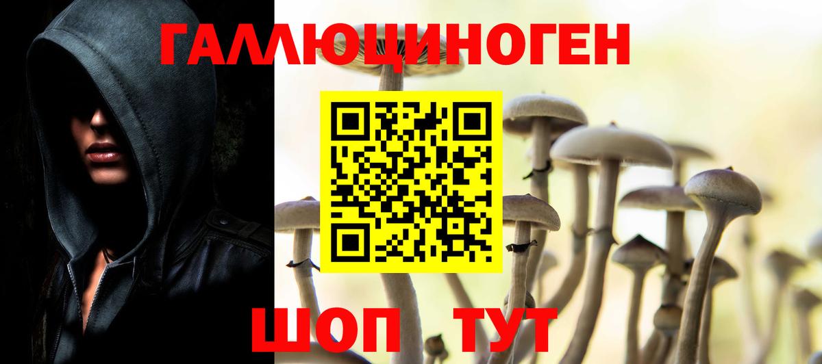 Галлюциногенные грибы мухоморы Асбест